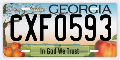 GA license plate CXF0593