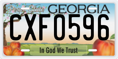 GA license plate CXF0596