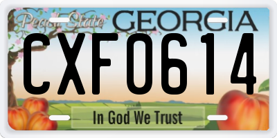 GA license plate CXF0614
