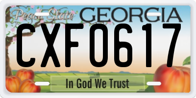 GA license plate CXF0617