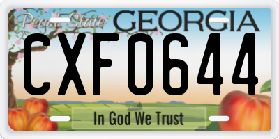 GA license plate CXF0644