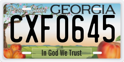 GA license plate CXF0645