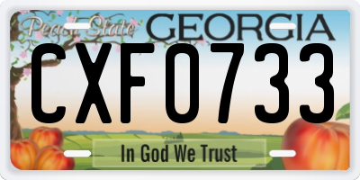 GA license plate CXF0733