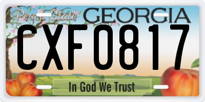 GA license plate CXF0817