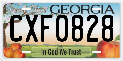 GA license plate CXF0828