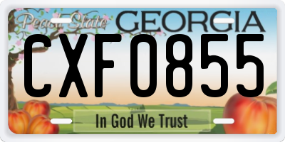 GA license plate CXF0855