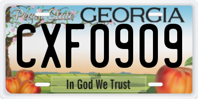 GA license plate CXF0909