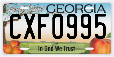 GA license plate CXF0995
