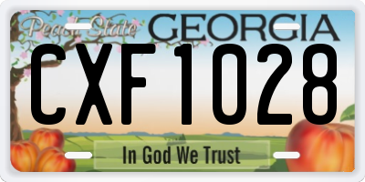 GA license plate CXF1028