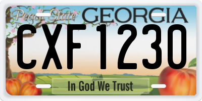 GA license plate CXF1230