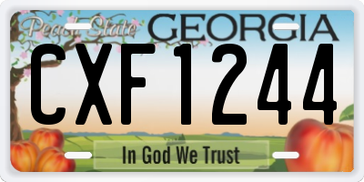 GA license plate CXF1244