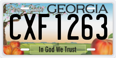 GA license plate CXF1263