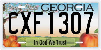 GA license plate CXF1307