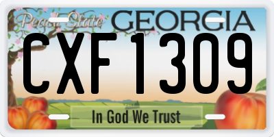 GA license plate CXF1309
