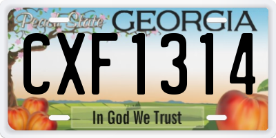 GA license plate CXF1314