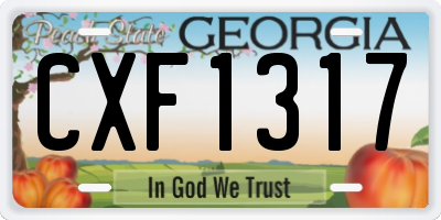 GA license plate CXF1317
