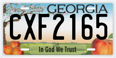 GA license plate CXF2165