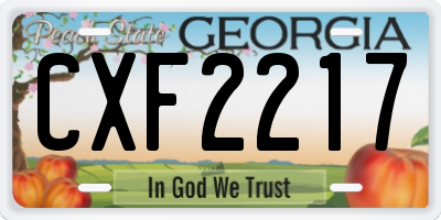 GA license plate CXF2217