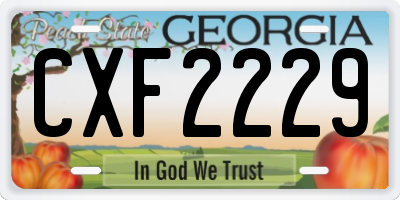GA license plate CXF2229