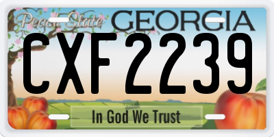 GA license plate CXF2239