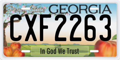 GA license plate CXF2263