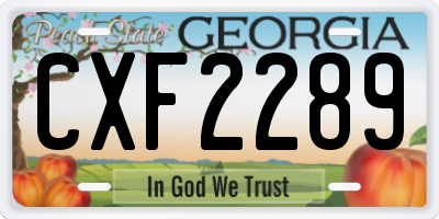 GA license plate CXF2289