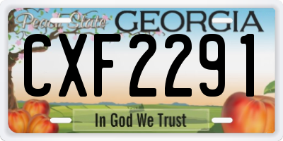 GA license plate CXF2291