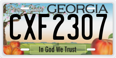 GA license plate CXF2307
