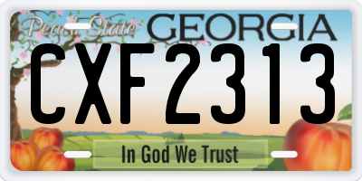 GA license plate CXF2313