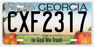 GA license plate CXF2317