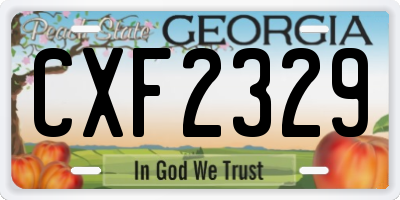 GA license plate CXF2329