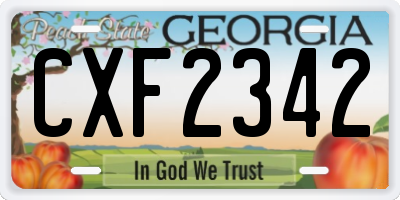 GA license plate CXF2342