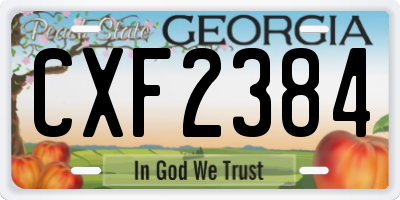 GA license plate CXF2384