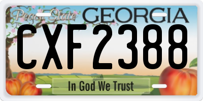 GA license plate CXF2388