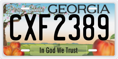 GA license plate CXF2389