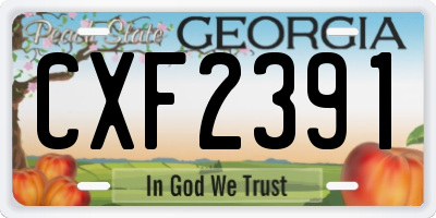 GA license plate CXF2391