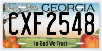 GA license plate CXF2548