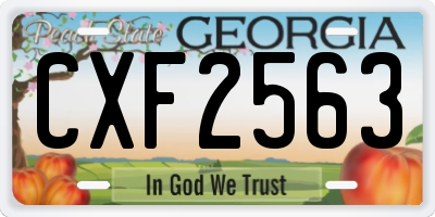GA license plate CXF2563