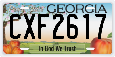 GA license plate CXF2617
