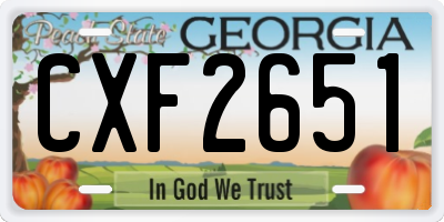 GA license plate CXF2651