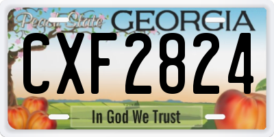 GA license plate CXF2824