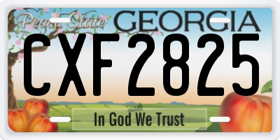 GA license plate CXF2825