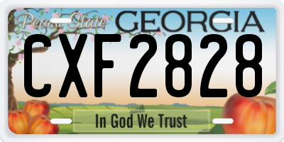 GA license plate CXF2828