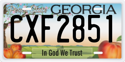 GA license plate CXF2851
