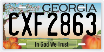 GA license plate CXF2863
