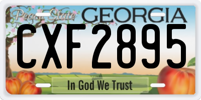 GA license plate CXF2895