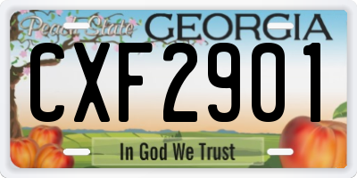 GA license plate CXF2901