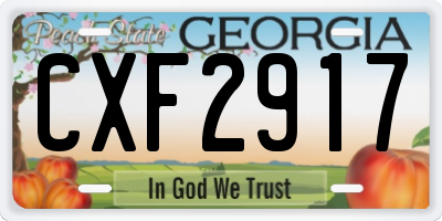GA license plate CXF2917