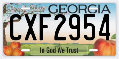 GA license plate CXF2954