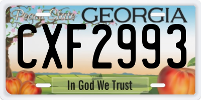 GA license plate CXF2993